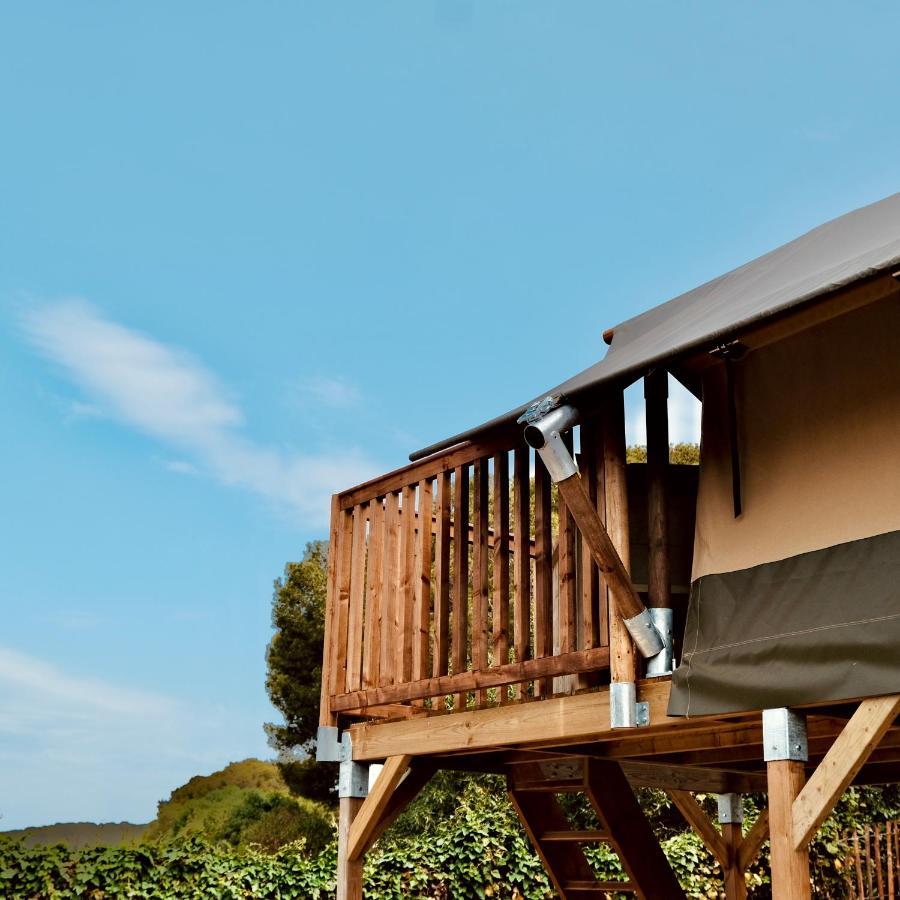 Holacamp Garrofer Sitges